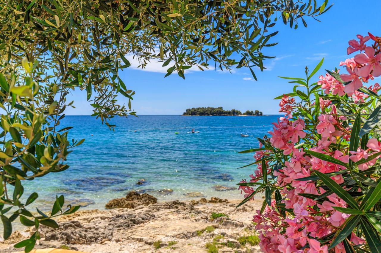 Al Mare Apartments Rovinj Buitenkant foto